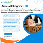 Annual-Filing-for-LLP.png