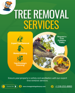 Stump Grinding & Stump Removal Albany NY