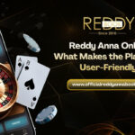 Reddy-Anna-Online_-What-Makes-the-Platform-User-Friendly.jpg