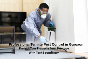 Termite pest control in Secunderabad