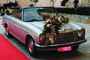 Why Taxi Services Are Useful for Daily Commutes