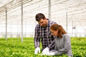 Expert Winery Tax CPA Services in Central Coast and Napa