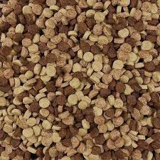 Benefits of Shopping from a Pet Food Online Store