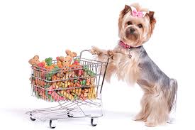Top Reasons to Trust an Online Pet Shop for Pet Care Products