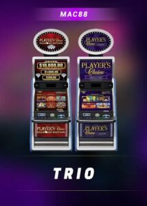 lotus365exch – A Complete Guide to the Services and Features of lotus365 exch.win