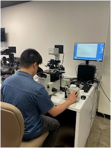 Embryology Courses: Who Should Get Them?