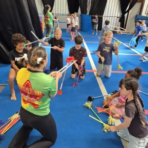 Exploring the Magic of Big Star Circus Through Aerial Arts